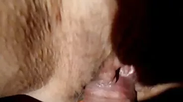 WhiteBoxxx: Capri Lmonde נהנית ממין סקס נשים חינם אנאלי נלהב בפורנו-HD