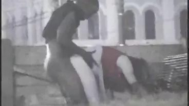 תלמידי חילופין טועמים מאכלים סקס חינם קוקסינלים מקומיים