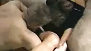 ה-BF של מזדיינת בהריון סינדי היא מאוד בריטית, אבל אפילו יותר מטורפת!
