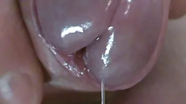 BRAZZERS MILF Alexis Fawx נותן סרטונים של סקס חינם מציצה מרושלת